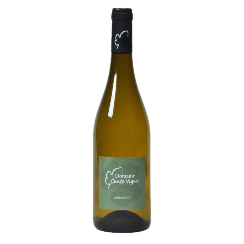 Domaine Cante Vigne - Blanc